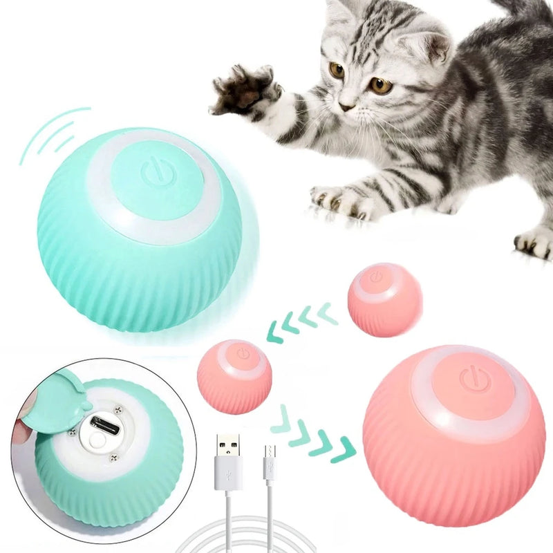 Brinquedo Interativo Para Gatos Inteligente